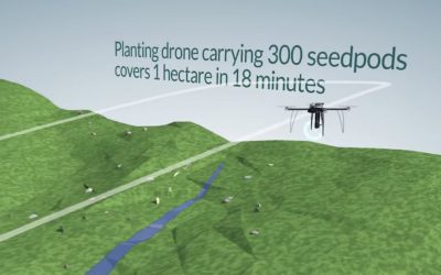 Drones used to Plant Trees