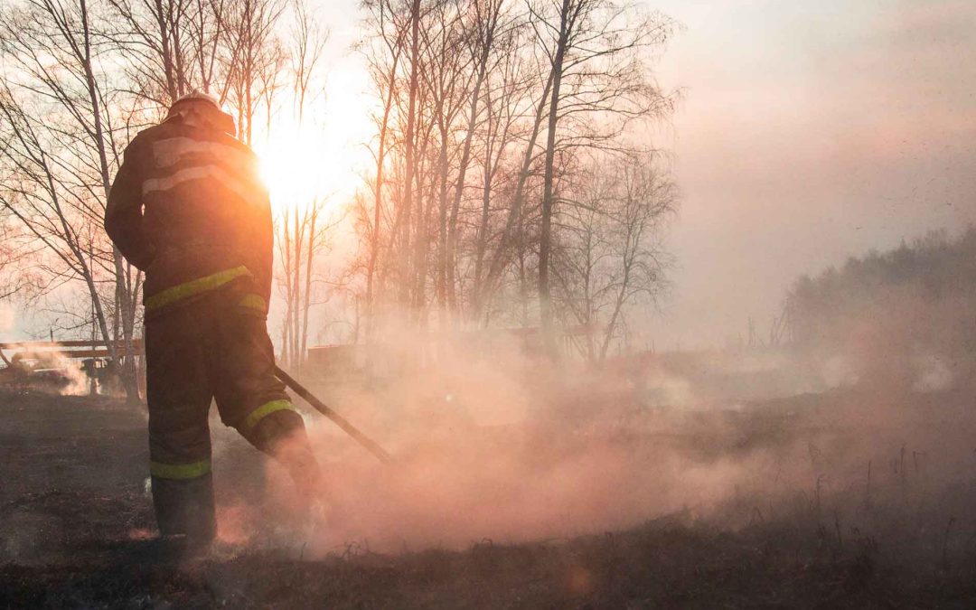 fighting-canadian-wildfires-Firewise