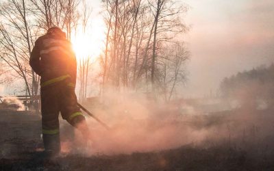 Firefighter brings lessons from fighting Canadian wildfires back to Cape Cod