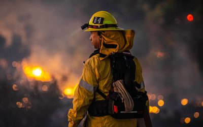 Rising to the challenge of more frequent wildfires