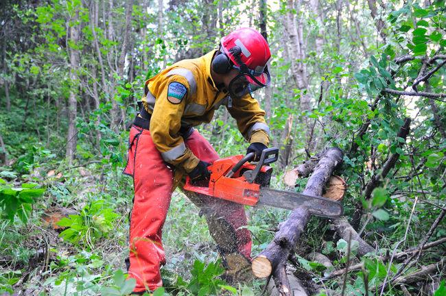 alberta firesmart