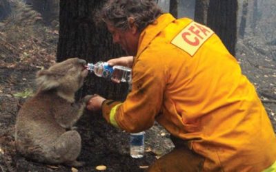 February in fire history – Black Saturday bushfires