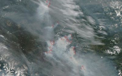 Wildfires are getting bigger and more frequent – can anything be done?