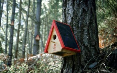 Birdhouse alarm created to prevent wildfires
