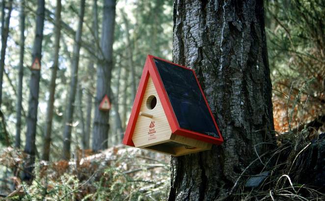 birdhouse alarm