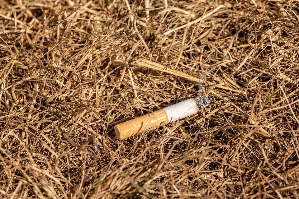 cigarette butt