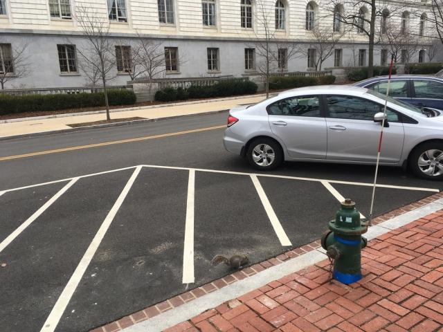 fire hydrant parking