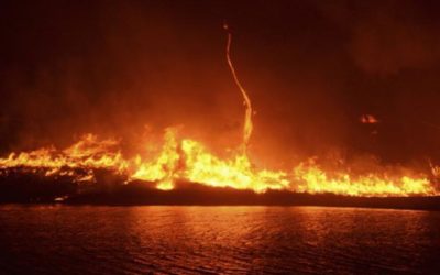 New form of fire, inspired by bourbon, might help with oil spills