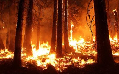 Mountaintop cameras could detect wildfires earlier