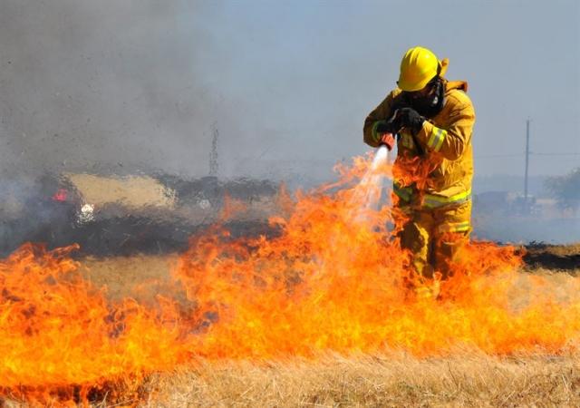 grass fire