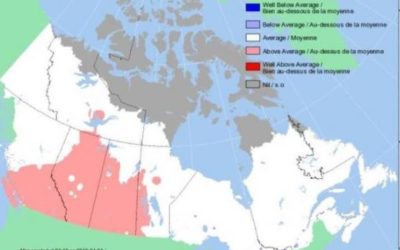 Forecasters predict hot dry conditions in western Canada this summer