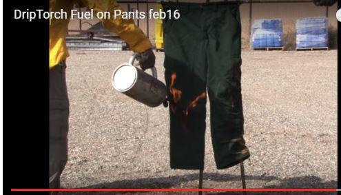 ss pants on fire