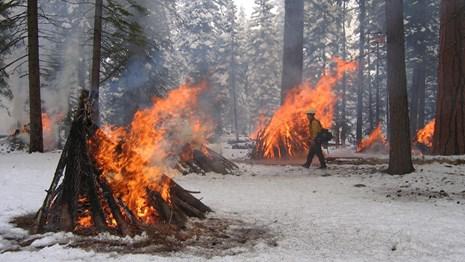 wildfire fighter