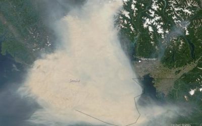Can wildfire smoke damage lungs?