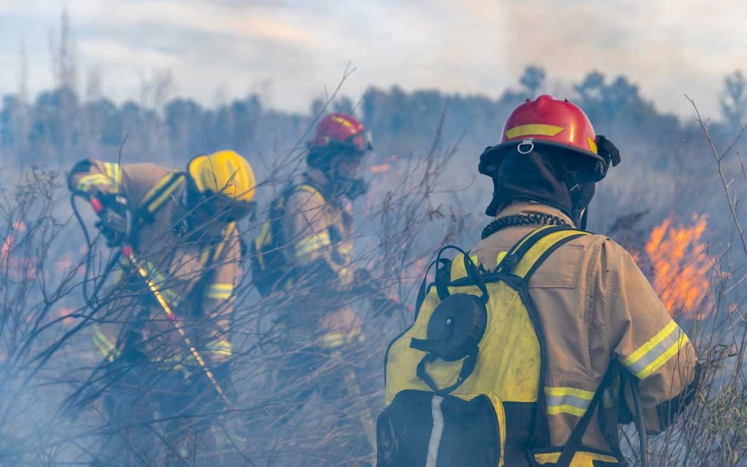 Foreign firefighters come to the rescue in Canada’s wildfires