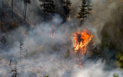 As Canada’s wildfires intensify, recruiting firefighters is tougher