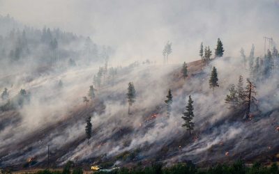 It’s Canada’s worst fire season in modern history, as smoke fills skies