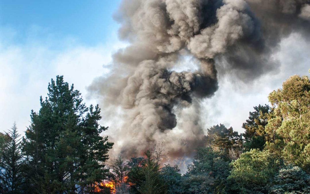 ‘It burns wild and free up there’: Canada fires force US crews to shift strategy