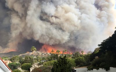 How Do Wildfires Affect Local Economies?