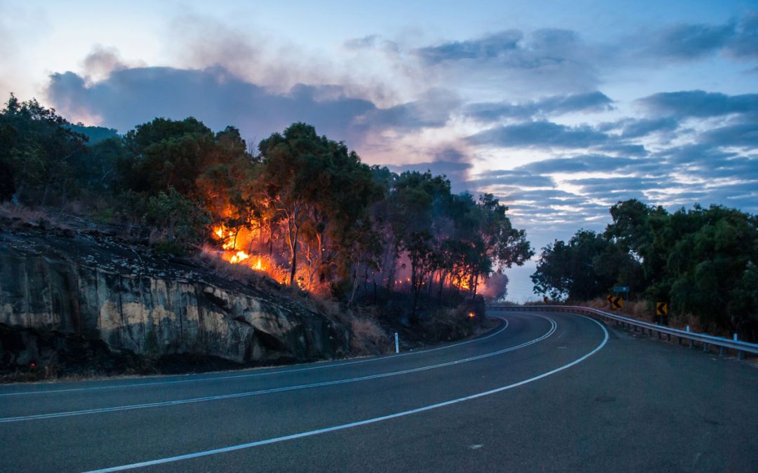 ‘Crushing consequences’: experts see growing risk as wildfires crash into communities