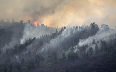 Living with Wildfire Risk