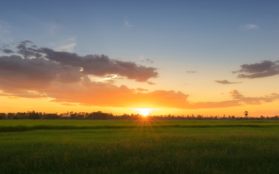 The Prairies are heading into another drought. Here’s why we’re more vulnerable this time