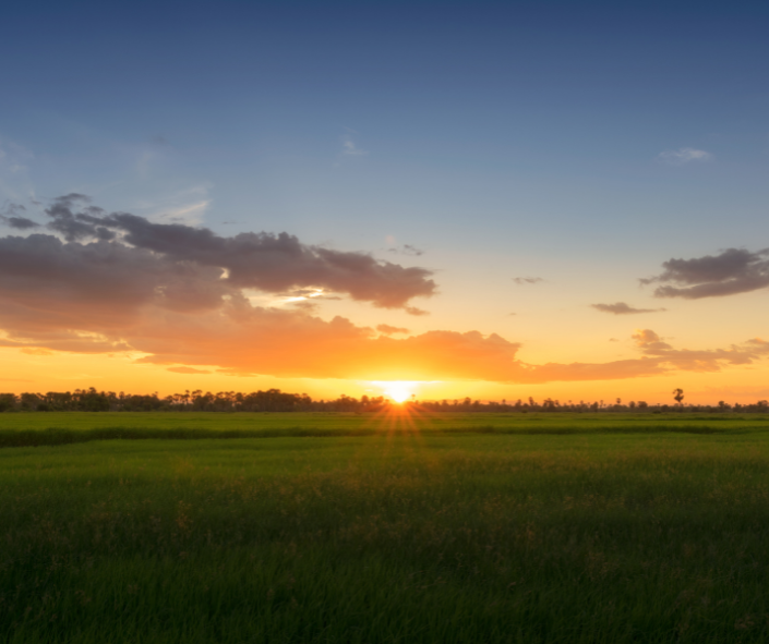 Prairies are heading into another drought