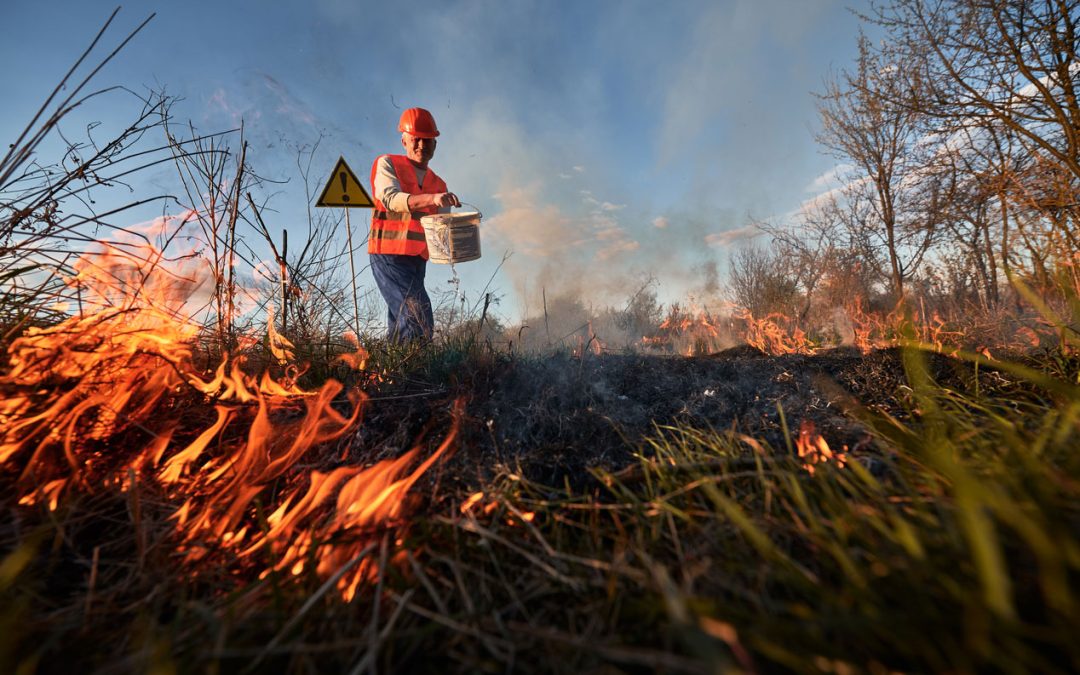 This scientist fled a deadly wildfire, then returned to study how it happened