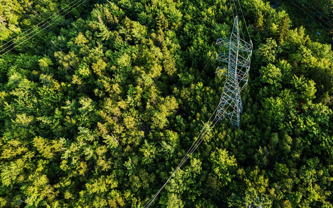 Shutting off power to reduce wildfire risk on windy days isn’t a simple decision – an energy expert explains the trade-offs electric utilities face