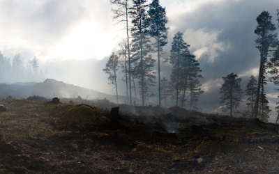 Zombie Fires burning at an alarming rate in Canada